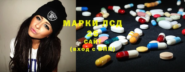 PSILOCYBIN Алзамай