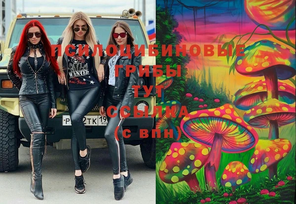 гидра Алексеевка