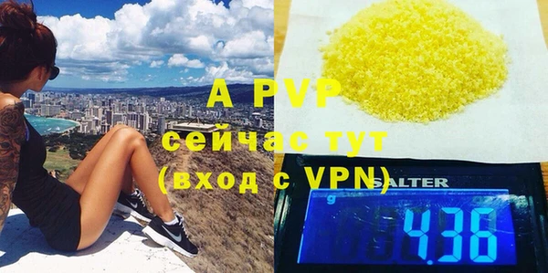 гидра Алексеевка