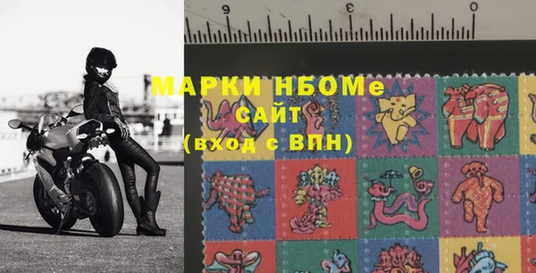 PSILOCYBIN Алзамай