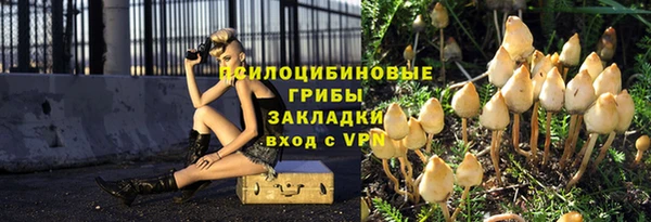 PSILOCYBIN Алзамай