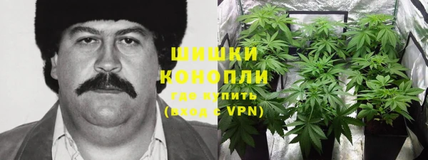 гидра Алексеевка