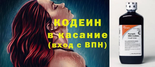 PSILOCYBIN Алзамай