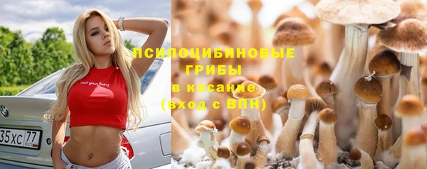 гидра Алексеевка