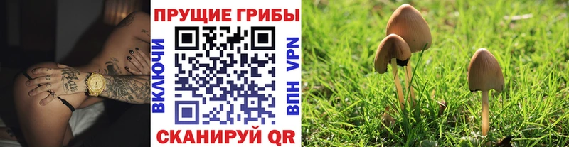 Псилоцибиновые грибы Magic Shrooms  наркота  Оленегорск 